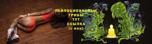 индика Балабаново