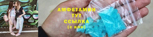 индика Балабаново