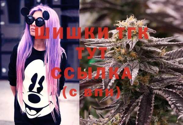 индика Балабаново