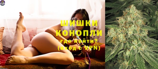 дживик Баксан