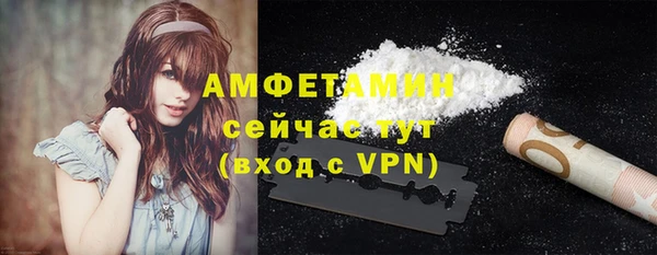 индика Балабаново