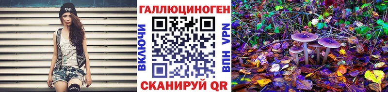 площадка наркотические препараты  Серафимович  Псилоцибиновые грибы Psilocybe  блэк спрут  